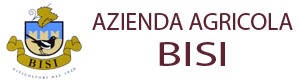 Logo Bisi